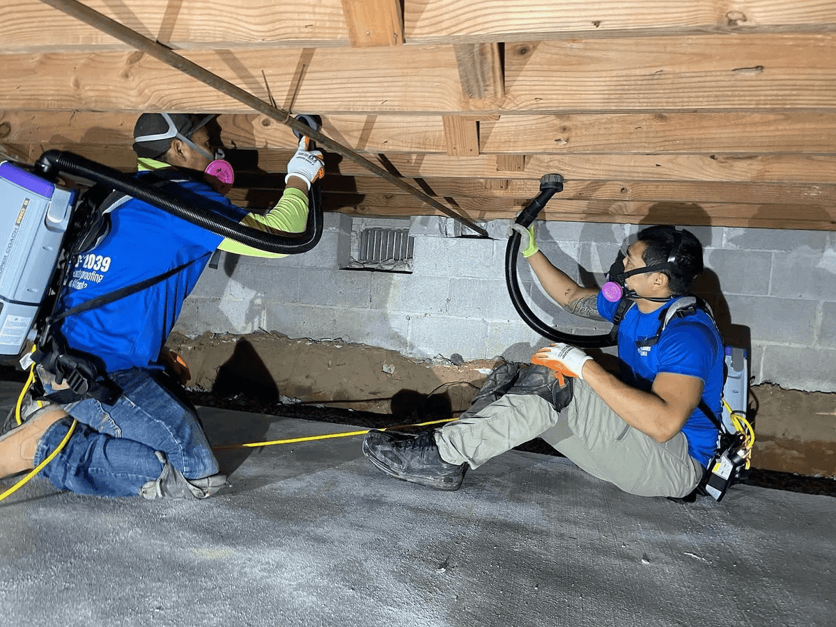 Crawl space mold remediation work